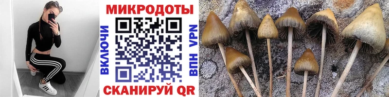 mega зеркало  Сысерть  Галлюциногенные грибы Cubensis 