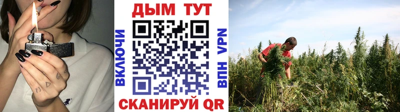 купить наркотик  Сысерть  Бошки марихуана план 